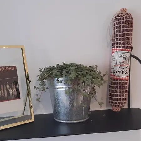 Le Burlat - - Lyon - Apartment Tassin-la-Demi-Lune